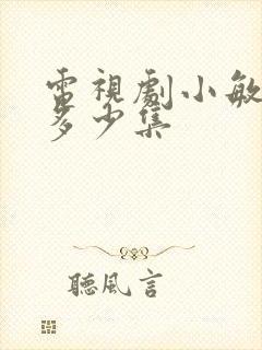 电视剧小敏家共多少集