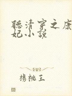 听清穿之康熙锦妃小说封面