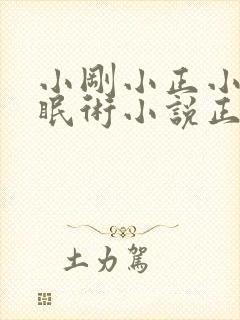 小刚小正小柔催眠术小说正版阅读封面