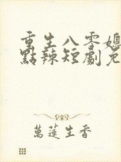 重生八零媳妇有点辣短剧免费观看封面