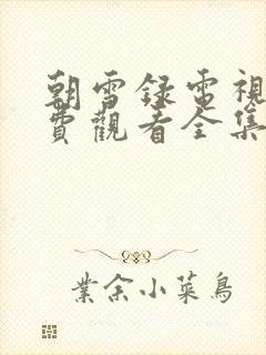 朝雪录电视剧免费观看全集完整版