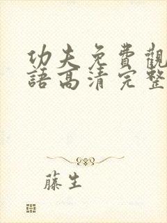 功夫免费观看国语高清完整版下载