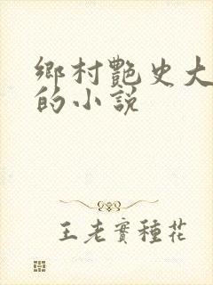 乡村艳史大肉榛的小说封面