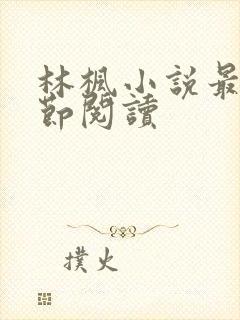 林枫小说最新章节阅读