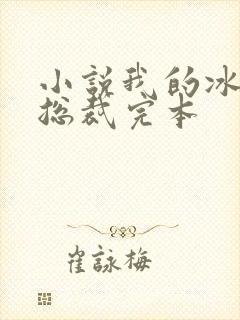 小说我的冰山女总裁完本