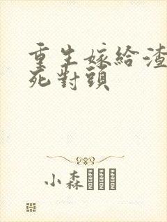 重生嫁给渣男的死对头