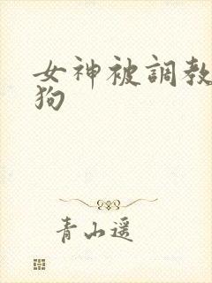 女神被调教成母狗封面