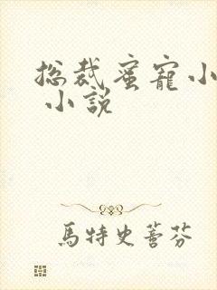 总裁蜜宠小甜妻 小说