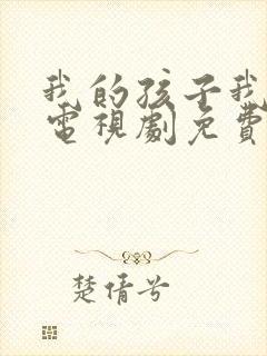 我的孩子我的家电视剧免费播放封面