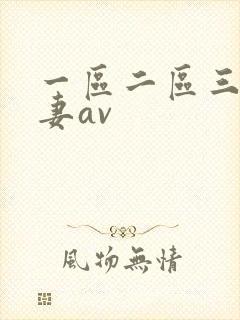一区二区三区人妻av