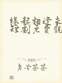 缘起相逢未识时短剧免费观看