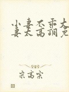 小妻不乖大佬宠妻太高调免费阅读