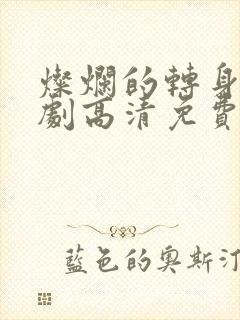 灿烂的转身电视剧高清免费观看