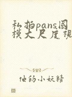 私拍pans国模大尺度视频在线