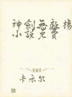 神剑无敌杨小天小说免费