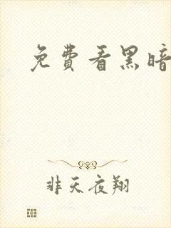 免费看黑暗圣经封面