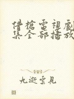 借枪电视剧40集全部播放封面