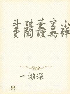 斗破苍穹小说免费阅读无弹窗封面