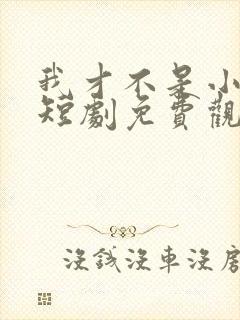 我才不是小可怜短剧免费观看全集