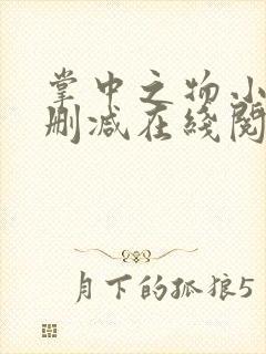 掌中之物小说无删减在线阅读