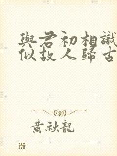 与君初相识,恰似故人归古诗