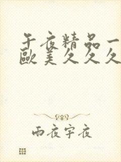 午夜精品一二三欧美久久久