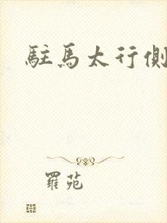 驻马太行侧封面