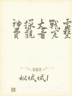 神探大战电影免费观看完整版国语