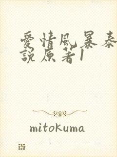 爱情风暴泰国小说原著1