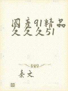 国产91精品久久久久51