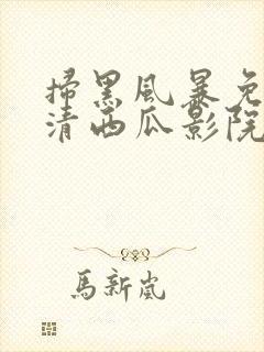 扫黑风暴免费高清西瓜影院