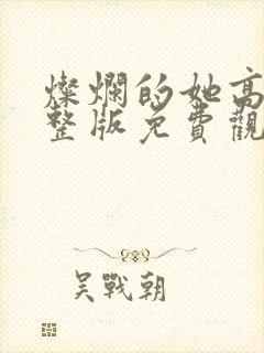 灿烂的她高清完整版免费观看