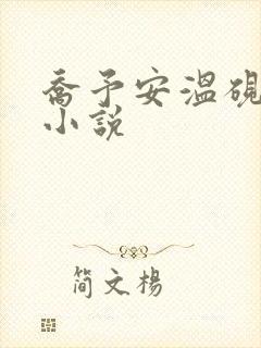 乔予安温砚深的小说