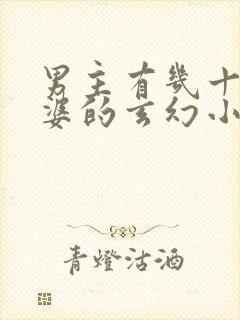 男主有几十个老婆的玄幻小说