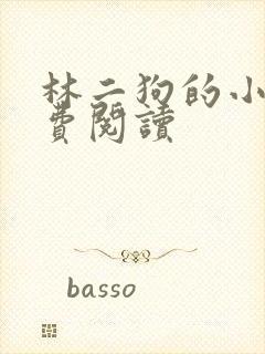 林二狗的小说免费阅读