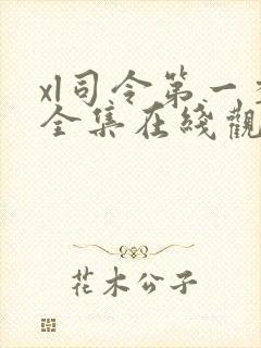 xl司令第一季全集在线观看中文版封面