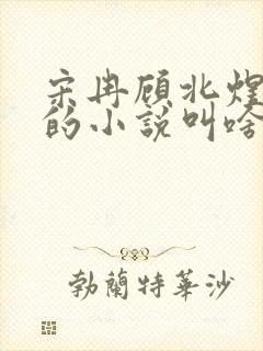 宋冉顾北煜苏月的小说叫啥