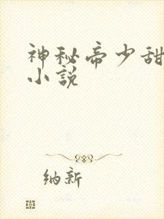 神秘帝少甜宠妻小说封面