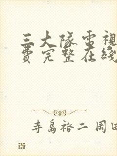 三大队电视剧免费完整在线观看国语