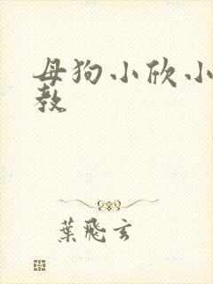 母狗小欣小说调教封面