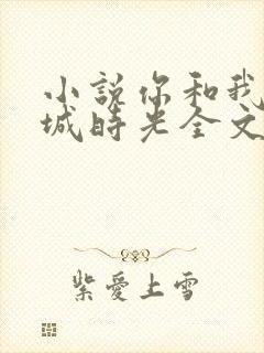 小说你和我的倾城时光全文免费阅读