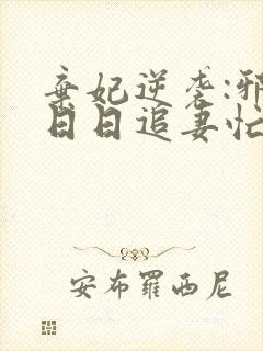 弃妃逆袭:邪王日日追妻忙小说阅读