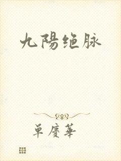 九阳绝脉封面