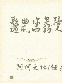 歌曲你是陪我走过风雨的人歌词