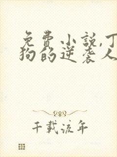 免费小说,丁二狗的逆袭人生封面