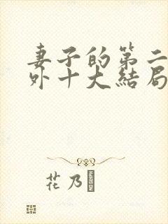 妻子的第二春番外十大结局