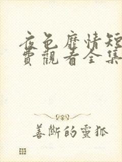 夜色靡情短剧免费观看全集高清版