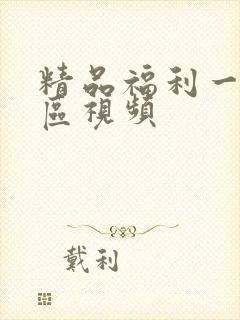 精品福利一区二区视频