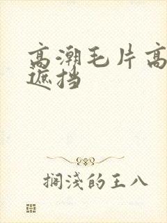 高潮毛片高清无遮挡