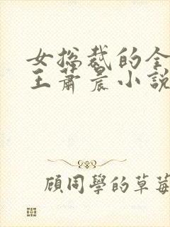 女总裁的全能兵王萧晨小说完本